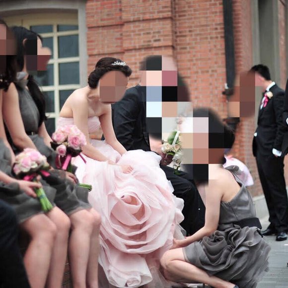 Vera Wang Blush Pink Wedding Gown Size 0 - Picture 9 of 16